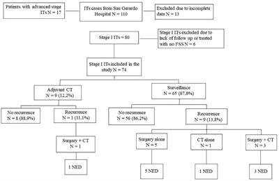 Outcome of patients with stage I immature teratoma after surveillance or adjuvant chemotherapy